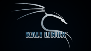 Penetration Testing with Kali Linux