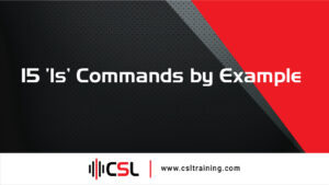 Read more about the article 15 ‘ls’ Commands by Example