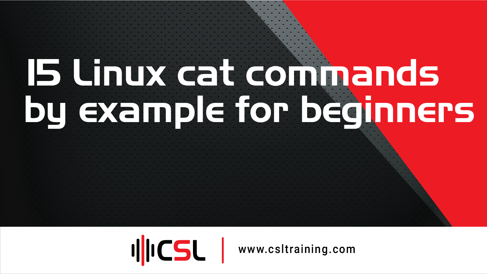 Read more about the article 15 Linux cat commands by example for beginners