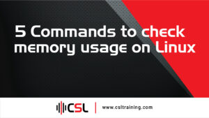 Read more about the article 5 Commands to check memory usage on Linux