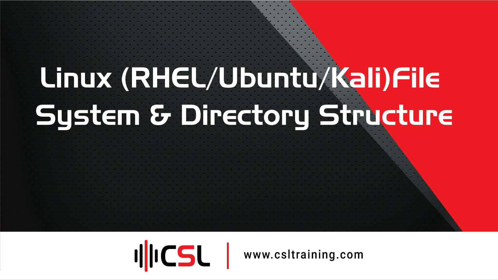 You are currently viewing Linux (RHEL/Ubuntu/Kali) File System & Directory Structure