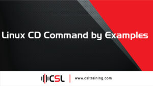 Read more about the article Linux CD Command by Examples
