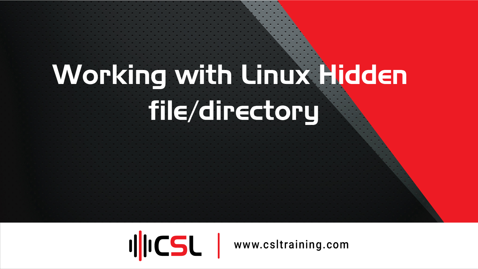 Read more about the article Working with Linux Hidden file/directory