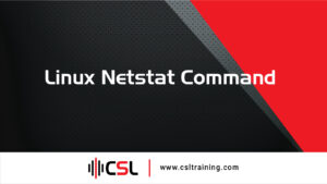Read more about the article Linux Netstat Command