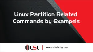 Read more about the article Linux Partition Related Commands by Exampels
