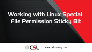 Read more about the article Working with Linux Special File Permission Sticky Bit
