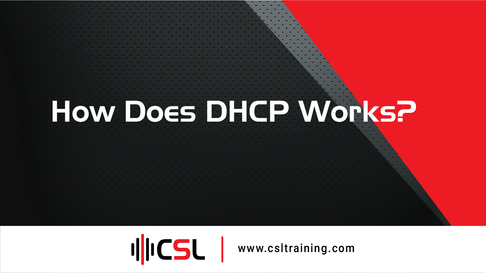 You are currently viewing How Does DHCP Works?