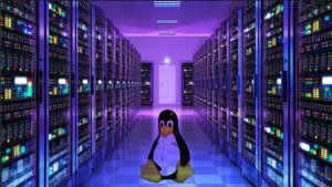 Linux Server For Enterprise