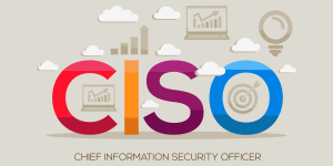 Chief Information Security Officer (CISO)